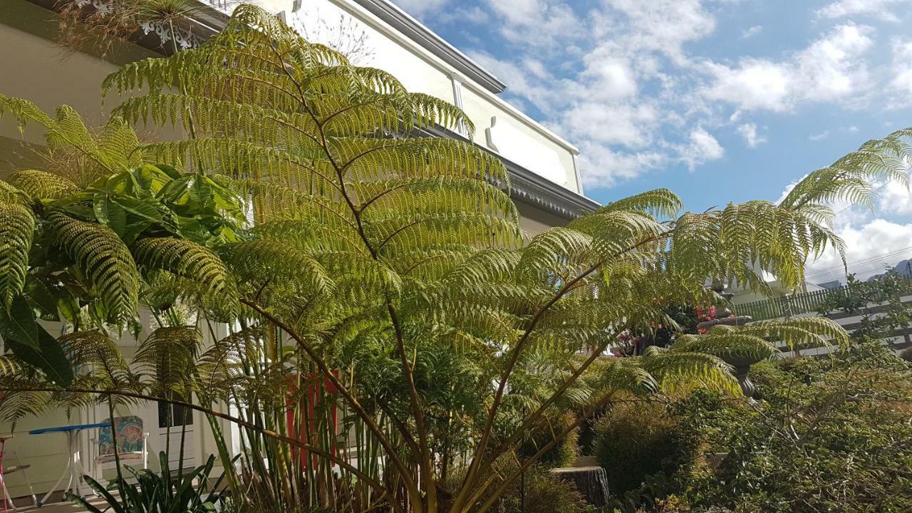 La Belle Creole Leilighet Cilaos Eksteriør bilde